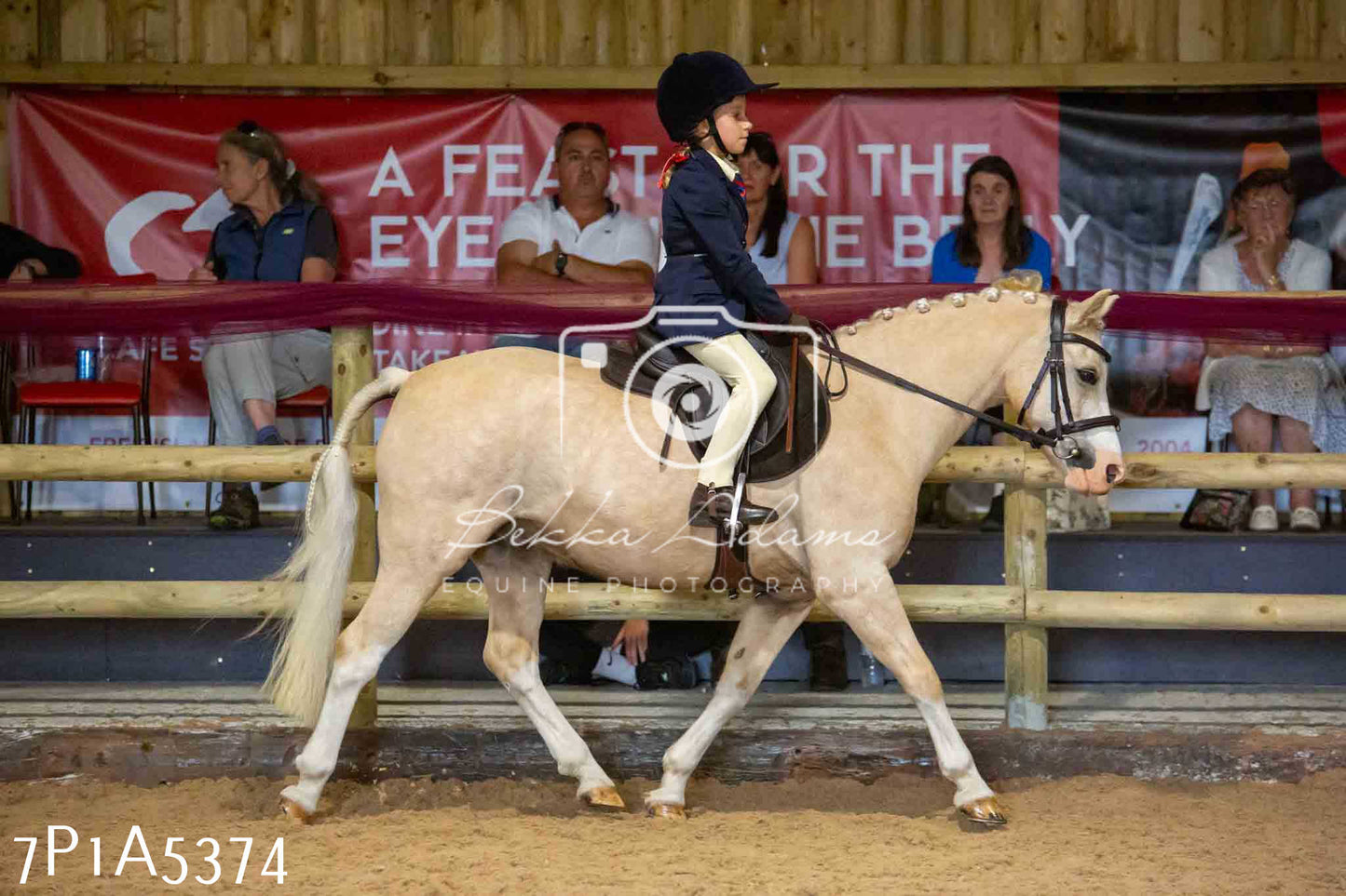 JHOYS 2023 - 10th September - Ridden Showing Pt2