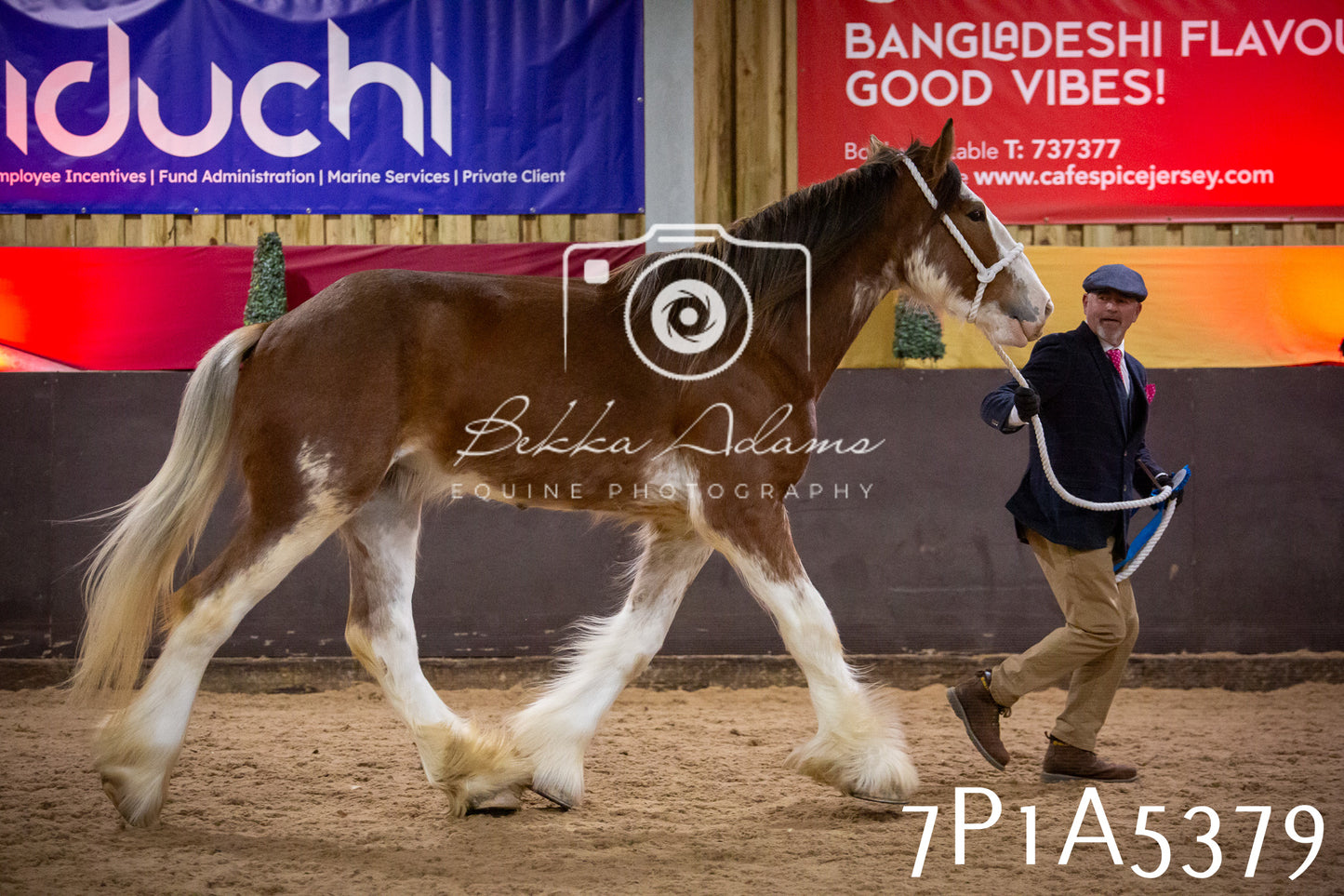 Home Farm Spring Show 2026 - In Hand