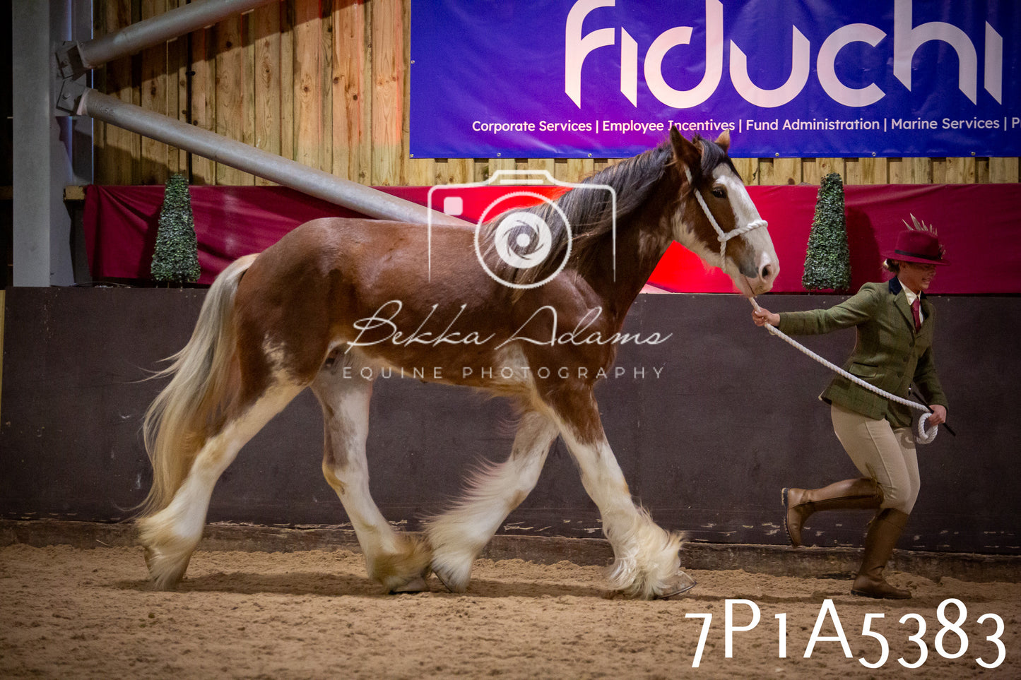 Home Farm Spring Show 2026 - In Hand