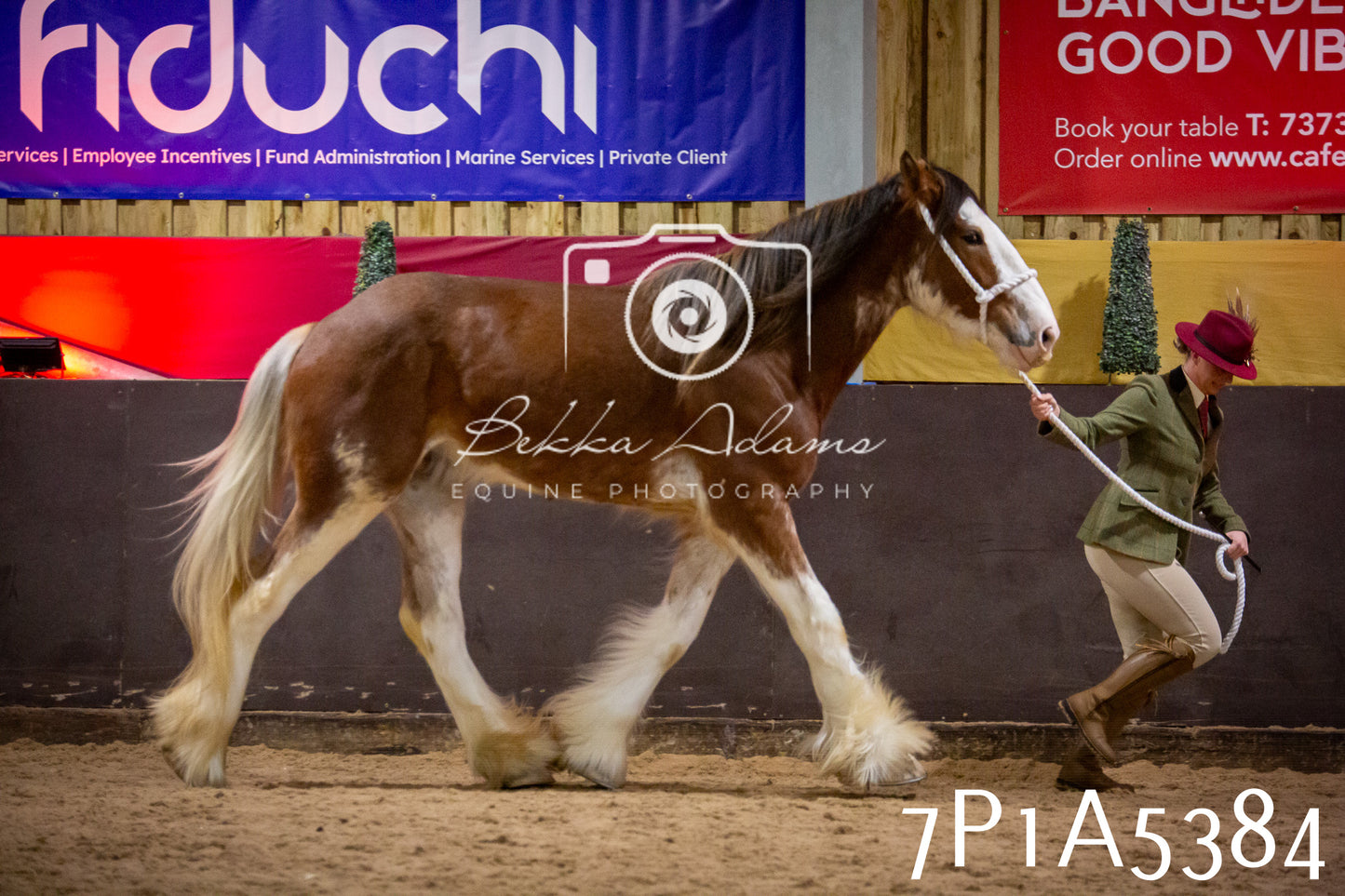 Home Farm Spring Show 2026 - In Hand