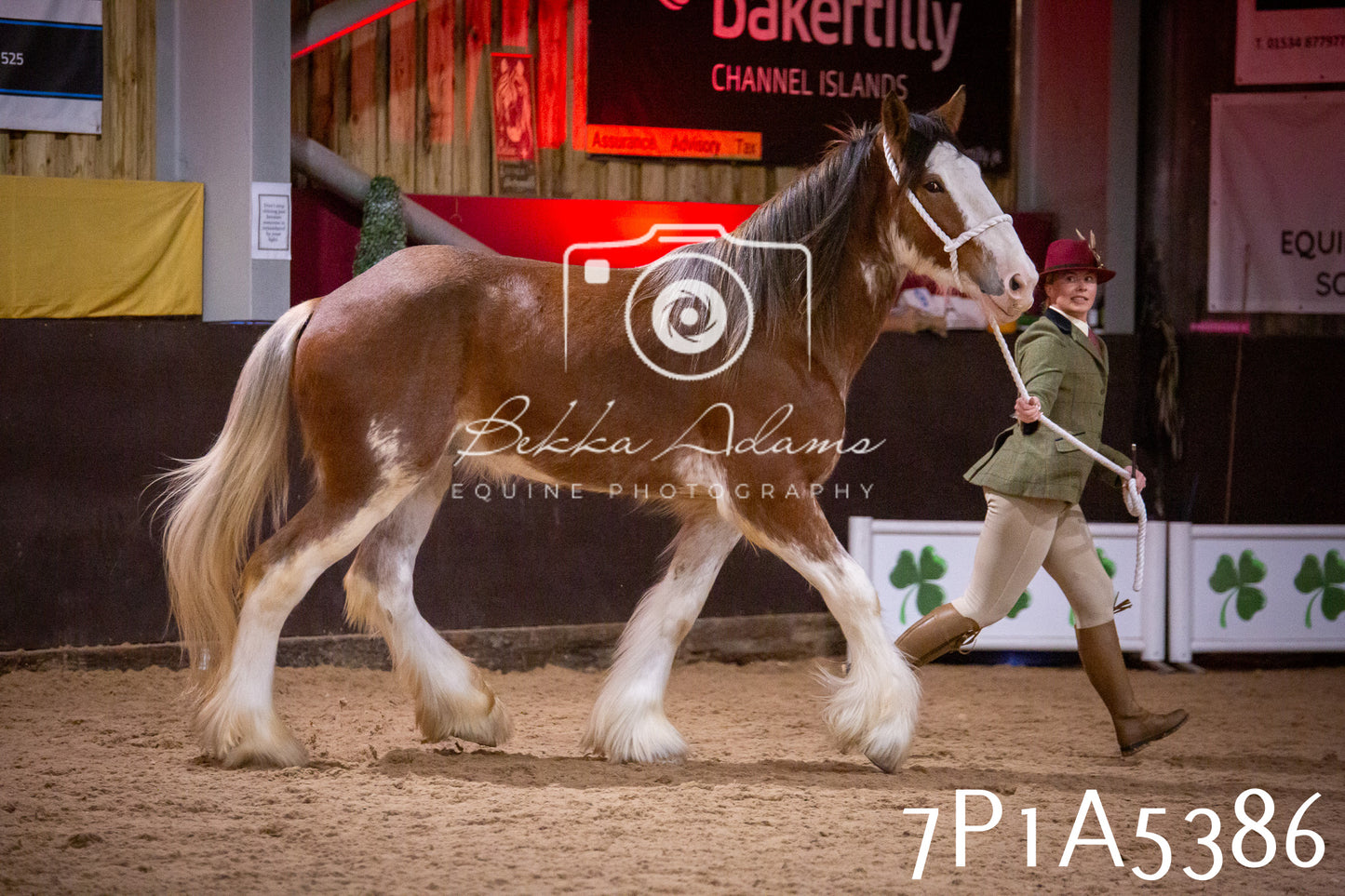 Home Farm Spring Show 2026 - In Hand