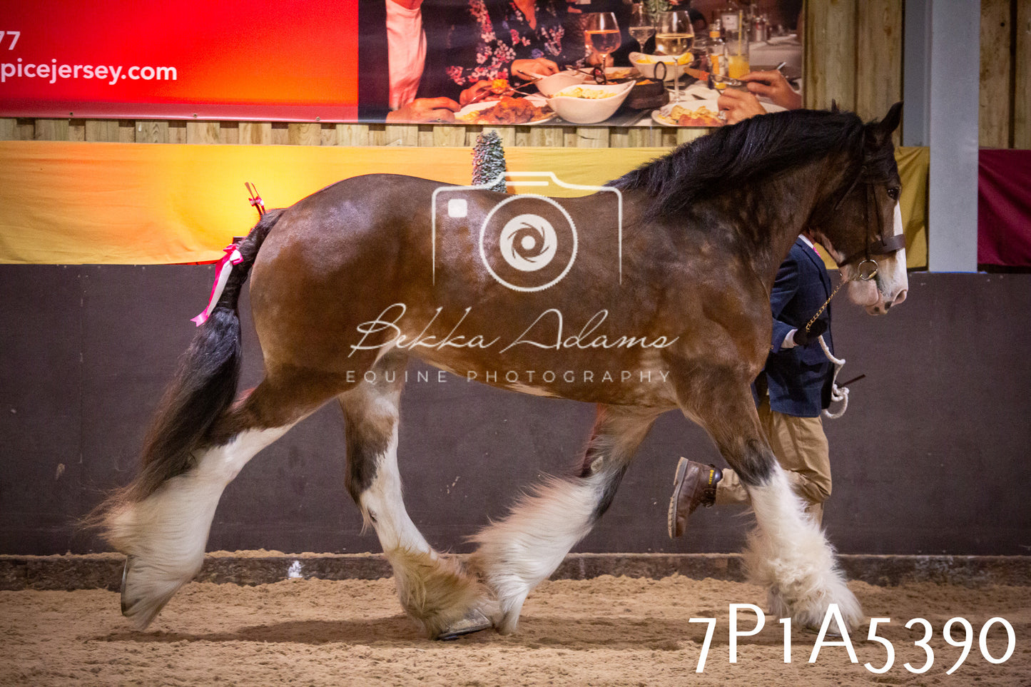 Home Farm Spring Show 2026 - In Hand