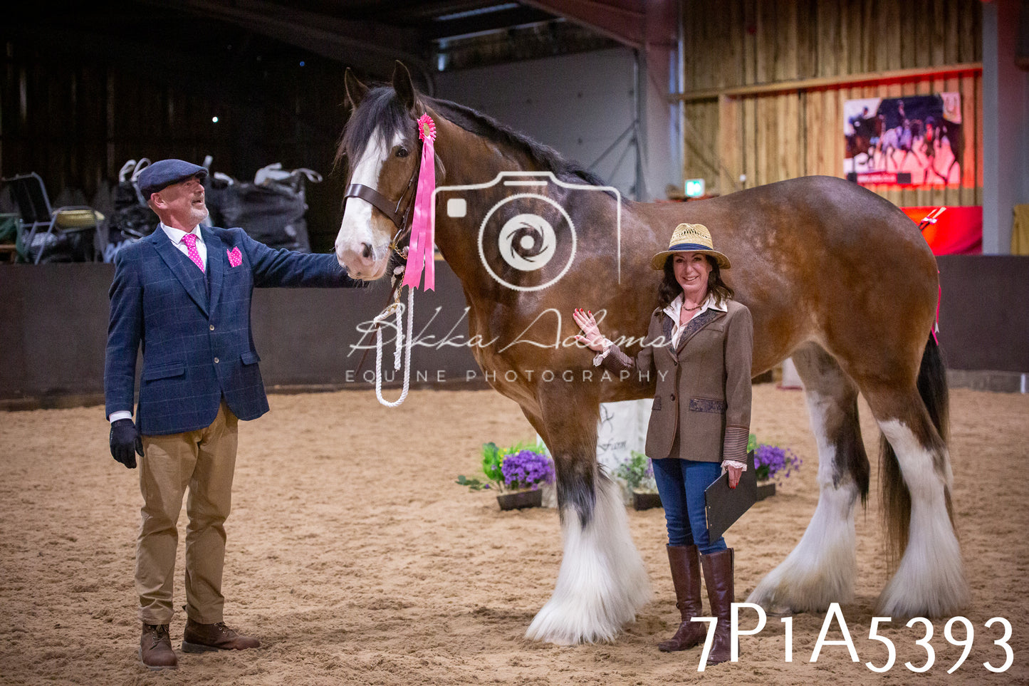Home Farm Spring Show 2026 - In Hand
