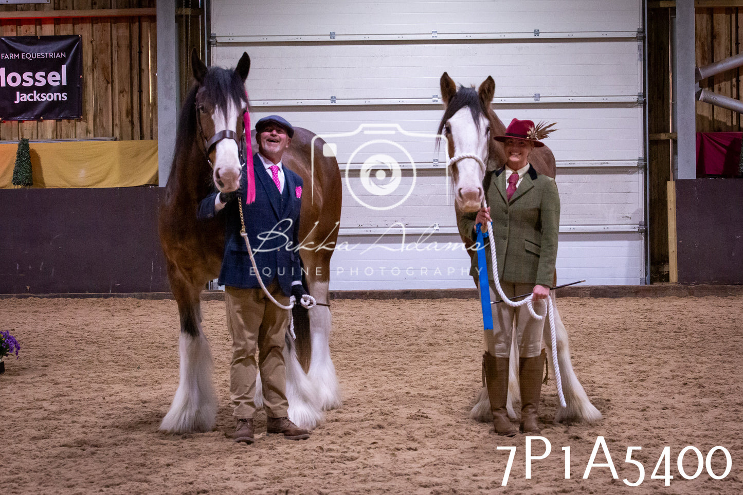 Home Farm Spring Show 2026 - In Hand