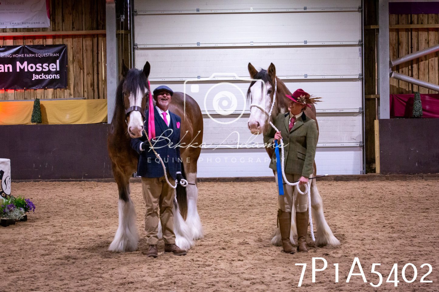 Home Farm Spring Show 2026 - In Hand