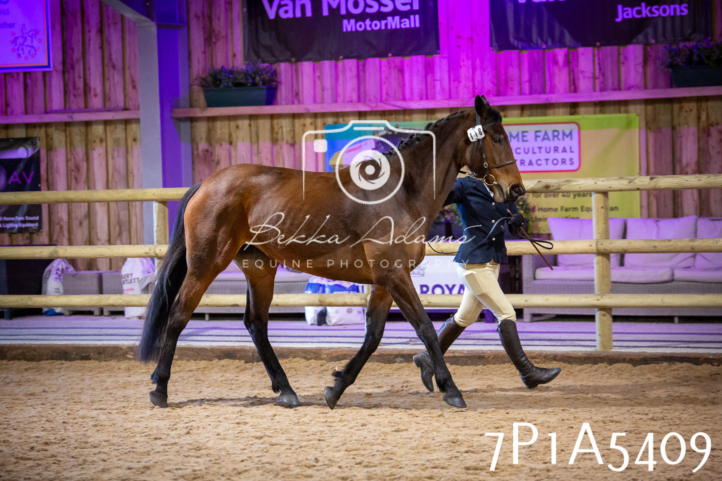 Home Farm Spring Show 2026 - In Hand