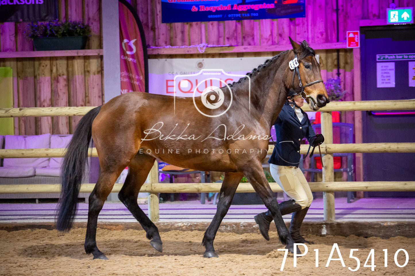 Home Farm Spring Show 2026 - In Hand