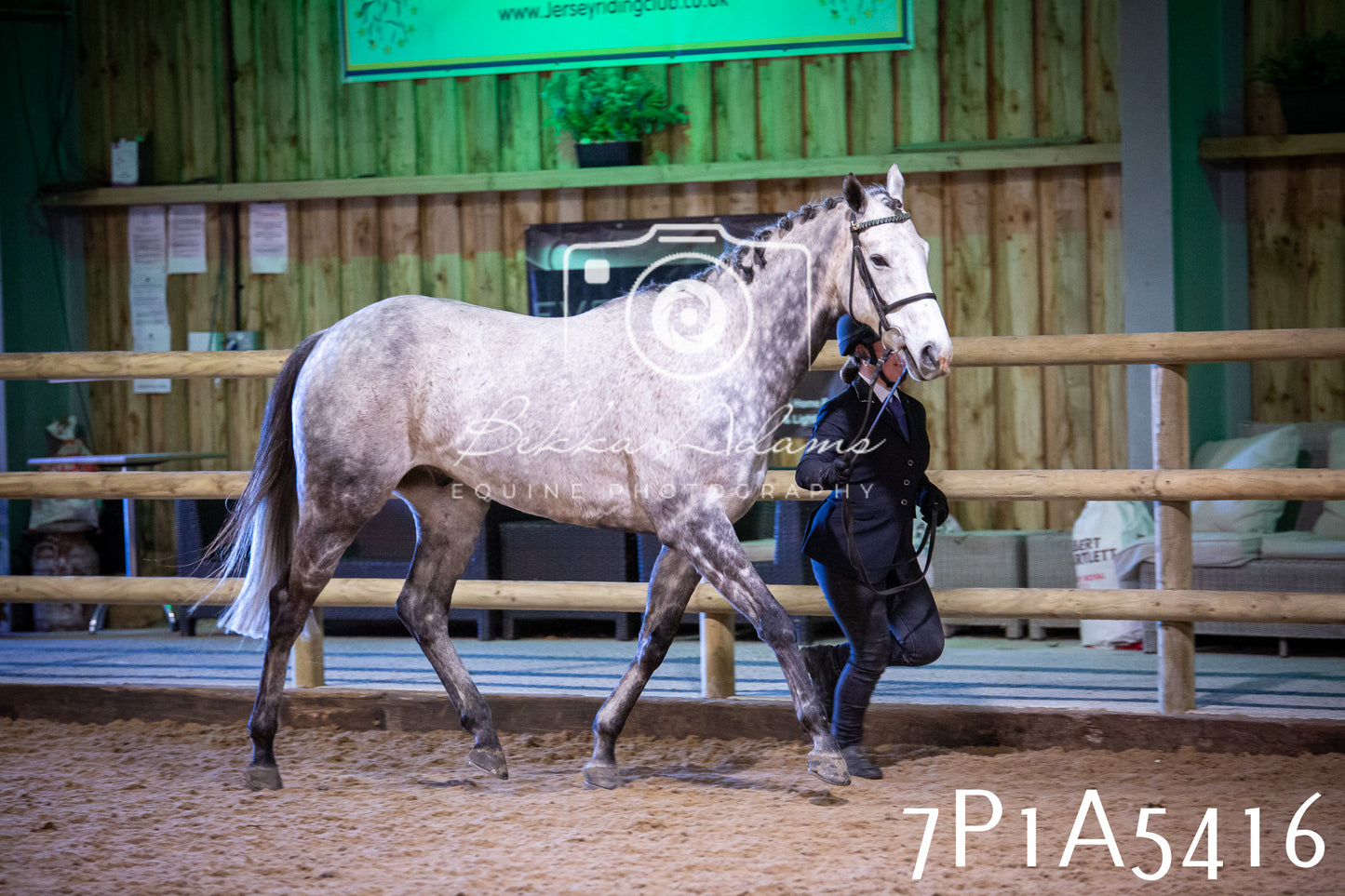 Home Farm Spring Show 2026 - In Hand