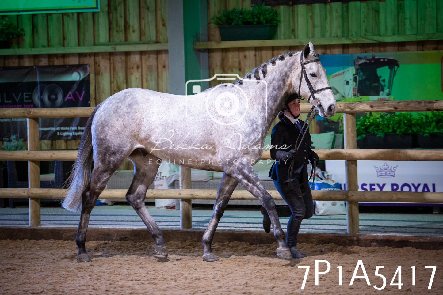 Home Farm Spring Show 2026 - In Hand