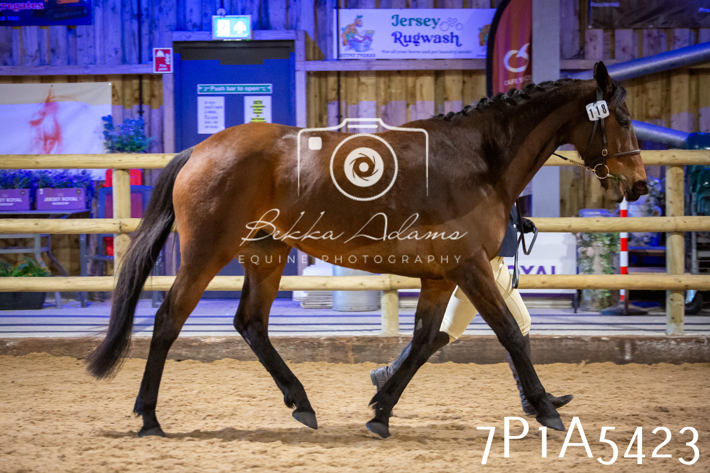 Home Farm Spring Show 2026 - In Hand