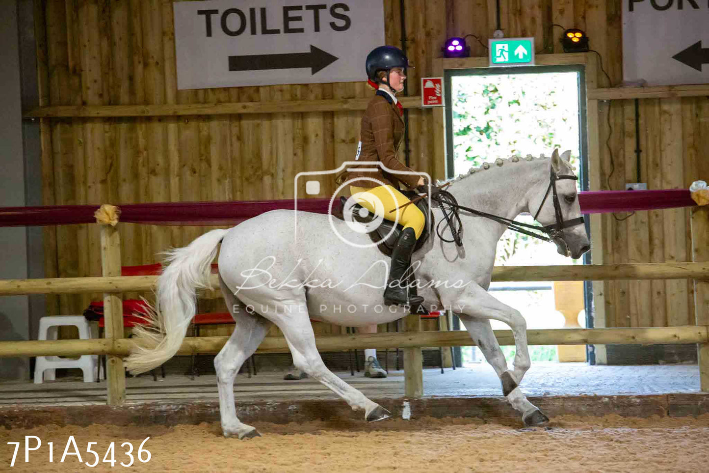 JHOYS 2023 - 10th September - Ridden Showing Pt2