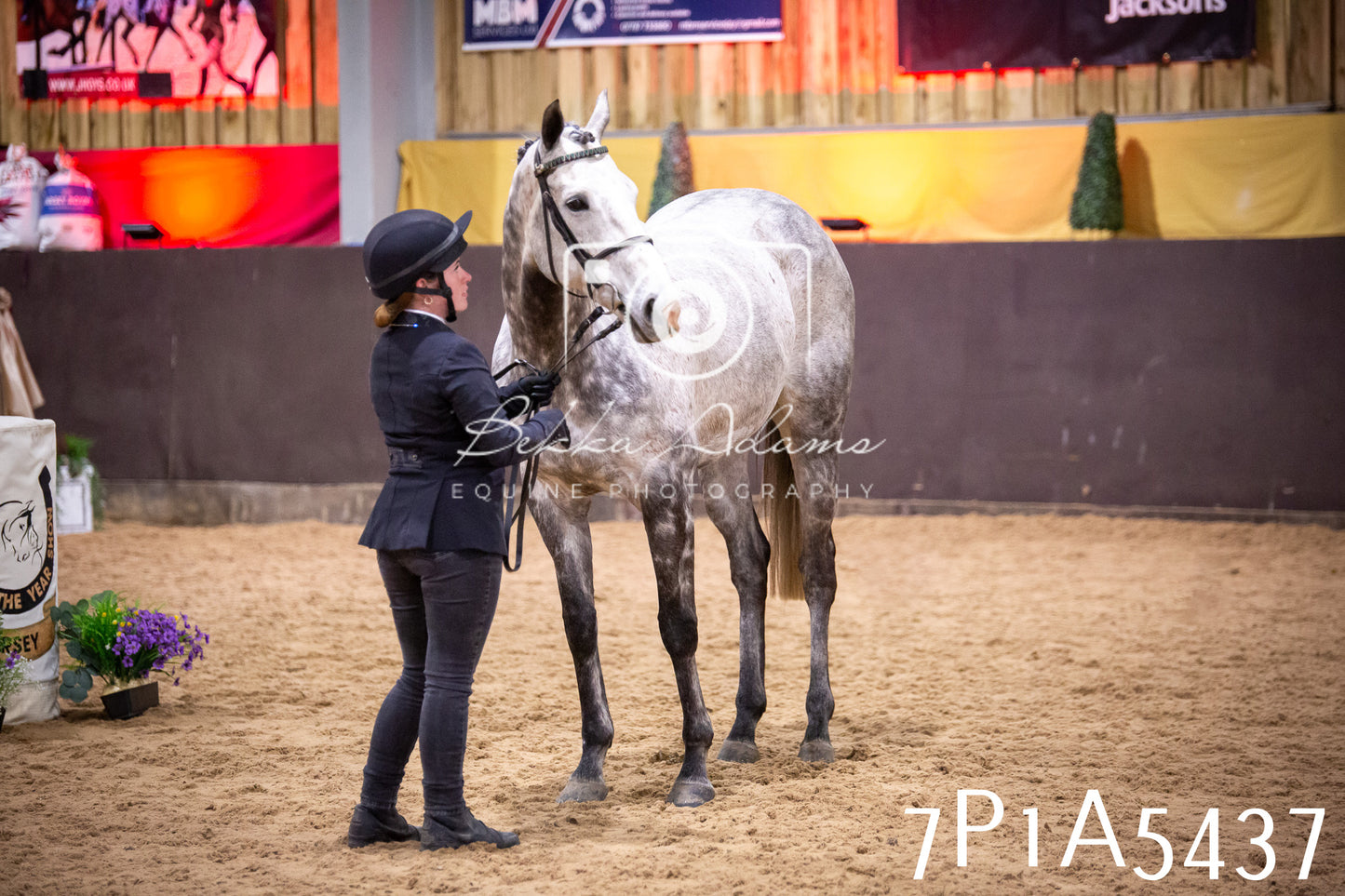 Home Farm Spring Show 2026 - In Hand