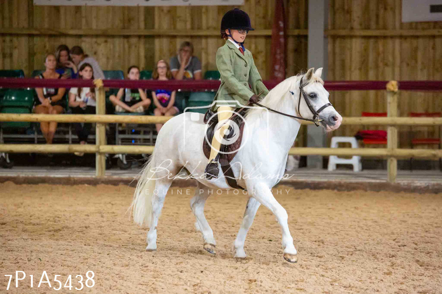 JHOYS 2023 - 10th September - Ridden Showing Pt2