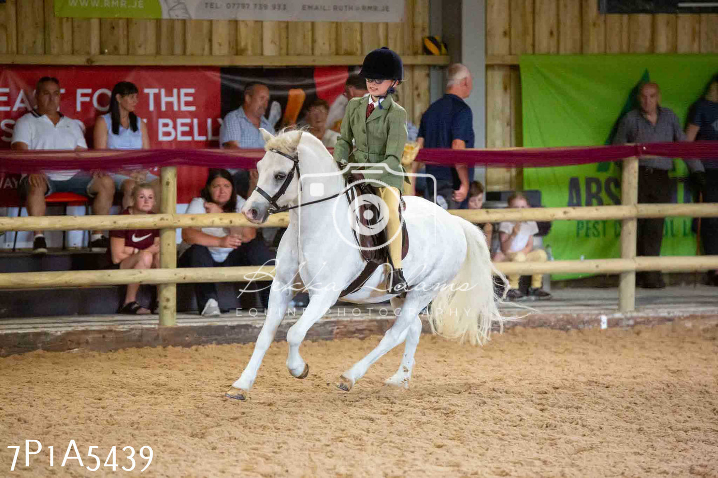 JHOYS 2023 - 10th September - Ridden Showing Pt2