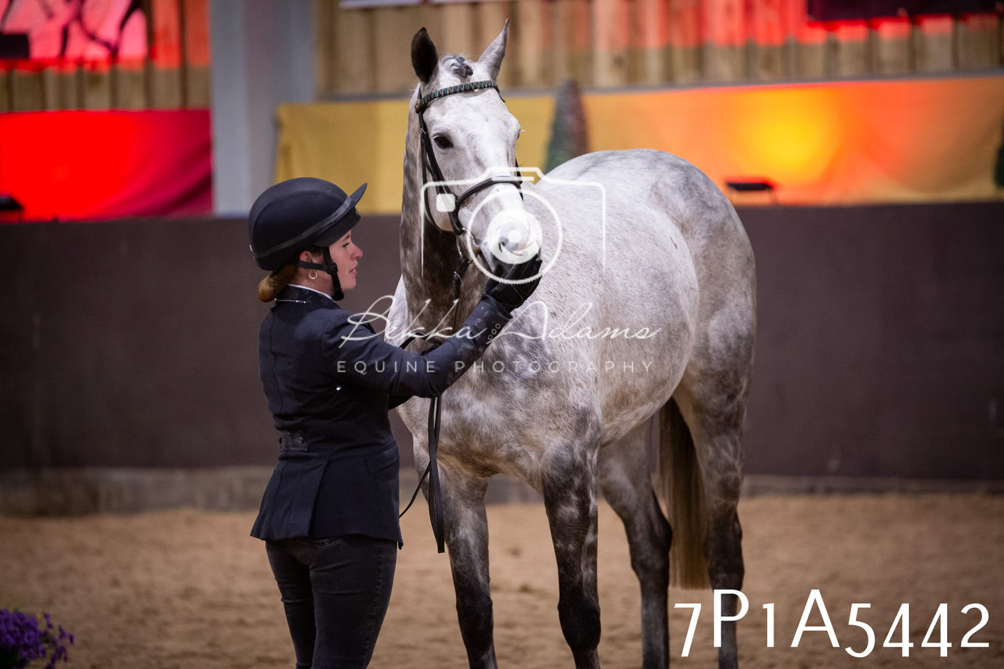 Home Farm Spring Show 2026 - In Hand