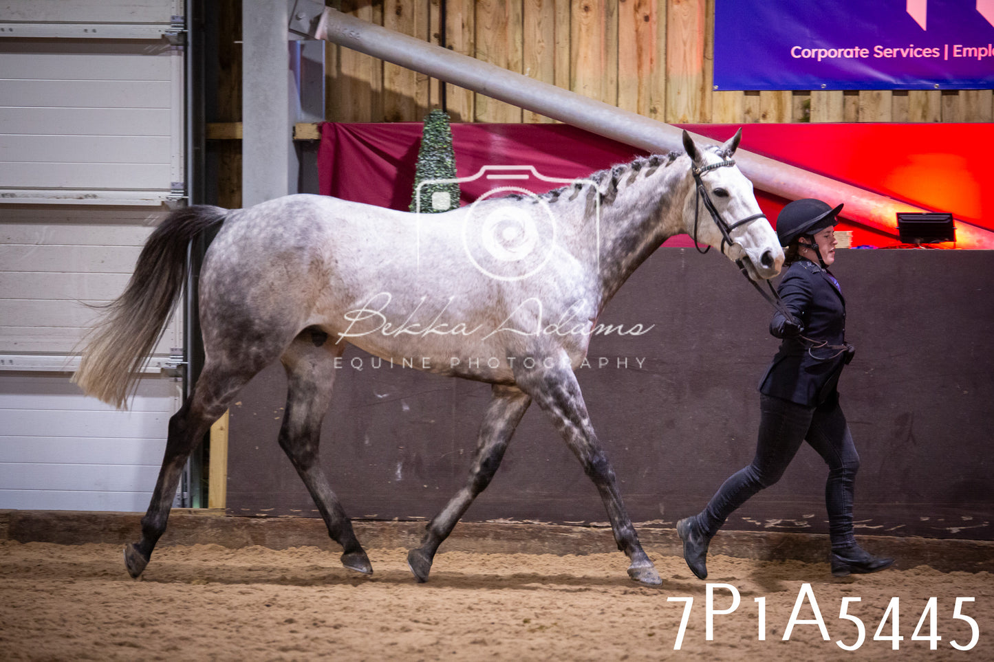 Home Farm Spring Show 2026 - In Hand
