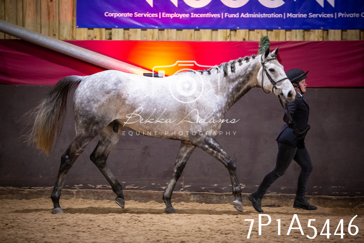 Home Farm Spring Show 2026 - In Hand