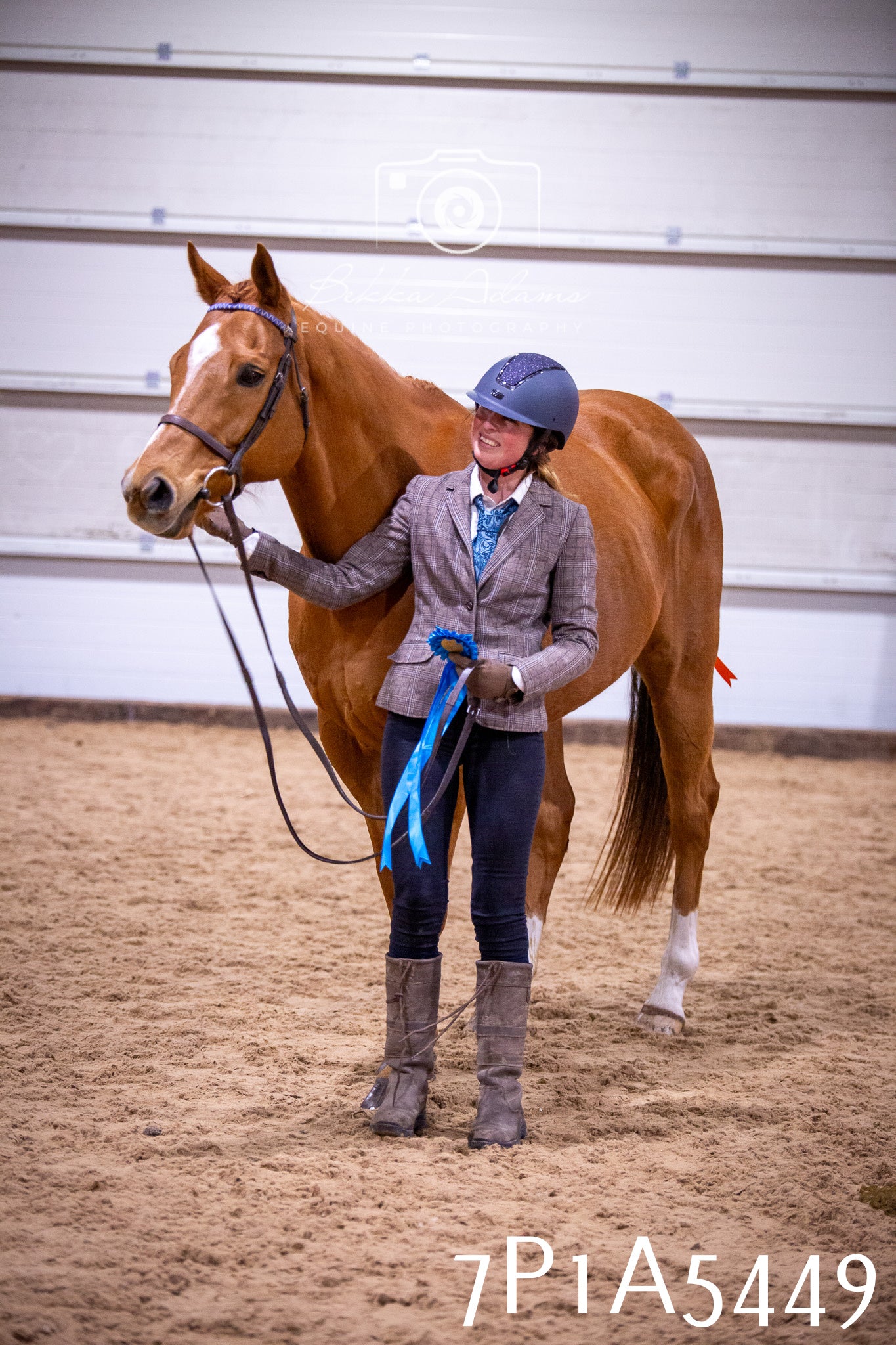 Home Farm Spring Show 2026 - In Hand