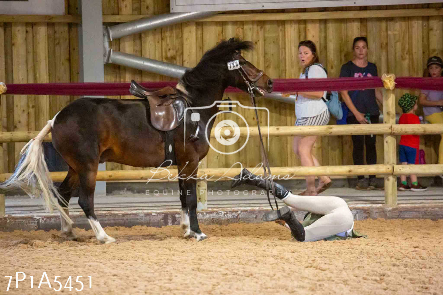 JHOYS 2023 - 10th September - Ridden Showing Pt2