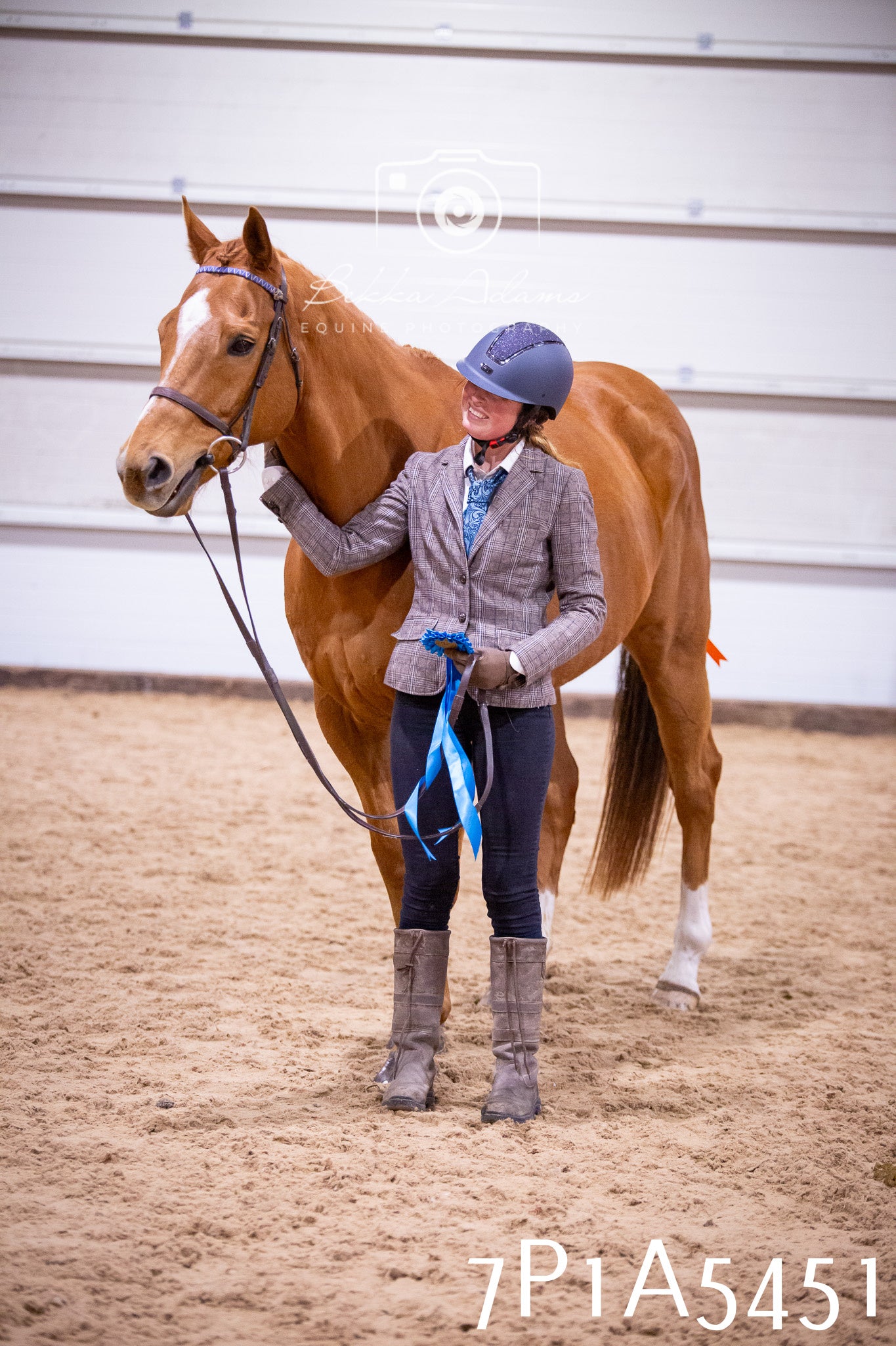 Home Farm Spring Show 2026 - In Hand