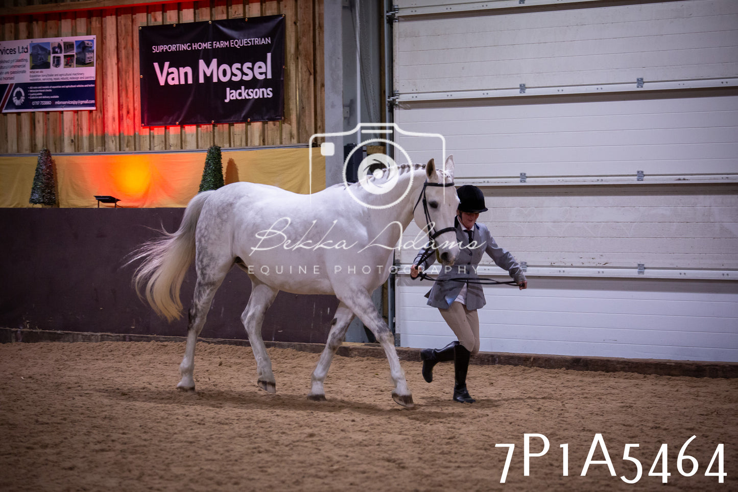Home Farm Spring Show 2026 - In Hand