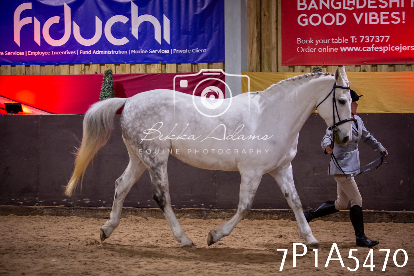Home Farm Spring Show 2026 - In Hand