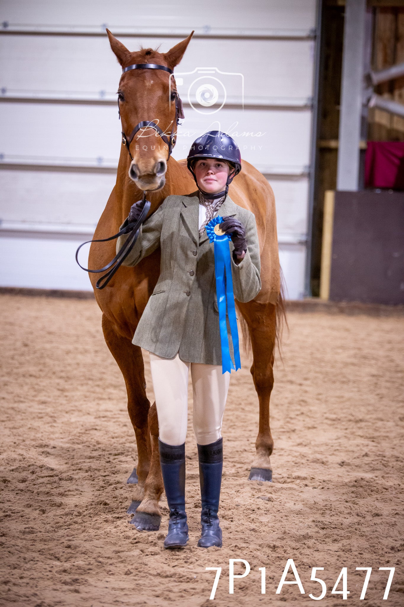 Home Farm Spring Show 2026 - In Hand