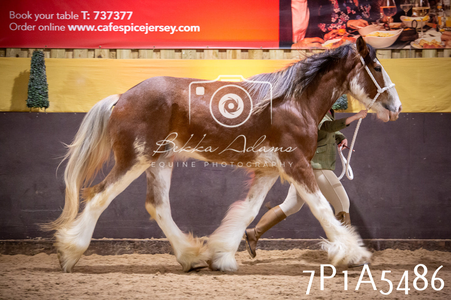 Home Farm Spring Show 2026 - In Hand