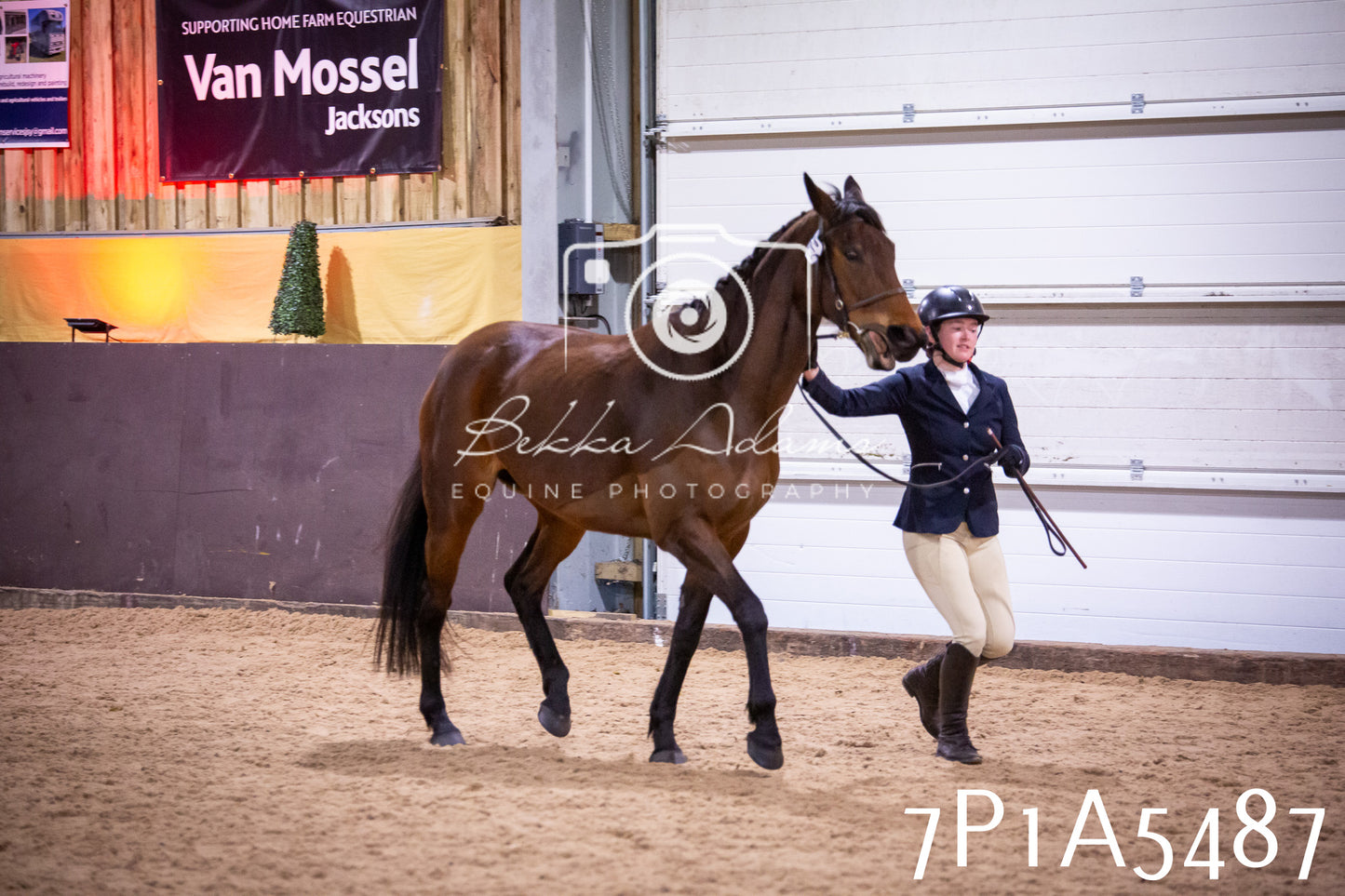Home Farm Spring Show 2026 - In Hand