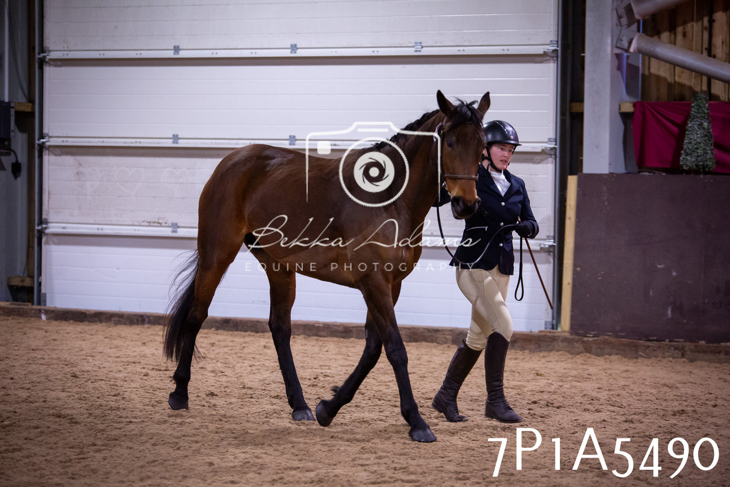 Home Farm Spring Show 2026 - In Hand