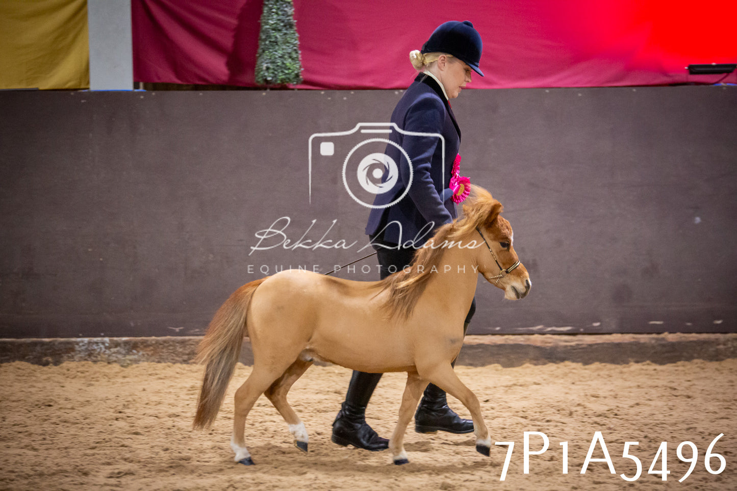 Home Farm Spring Show 2026 - In Hand