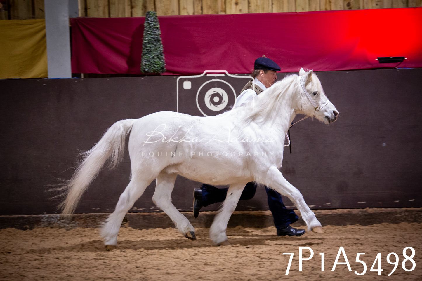 Home Farm Spring Show 2026 - In Hand