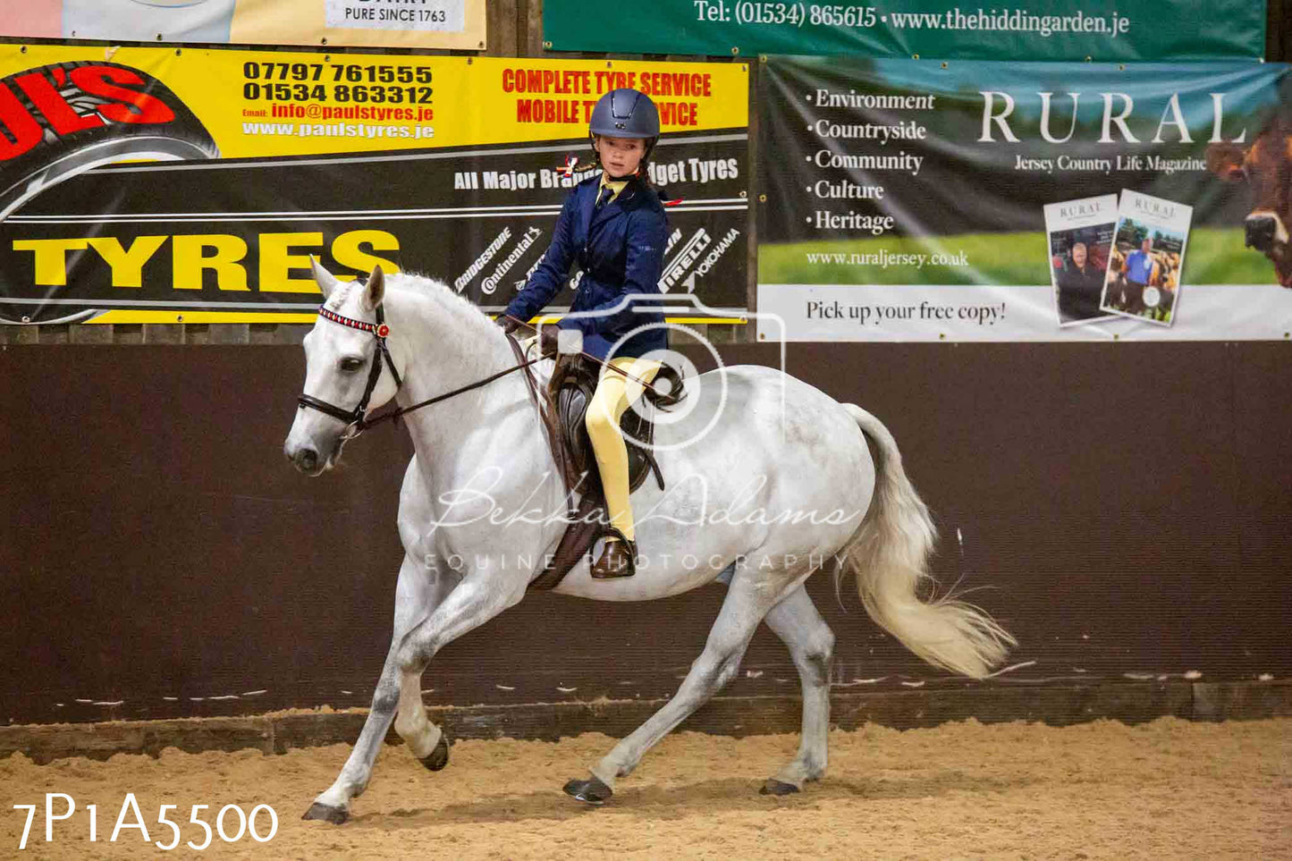 JHOYS 2023 - 10th September - Ridden Showing Pt2