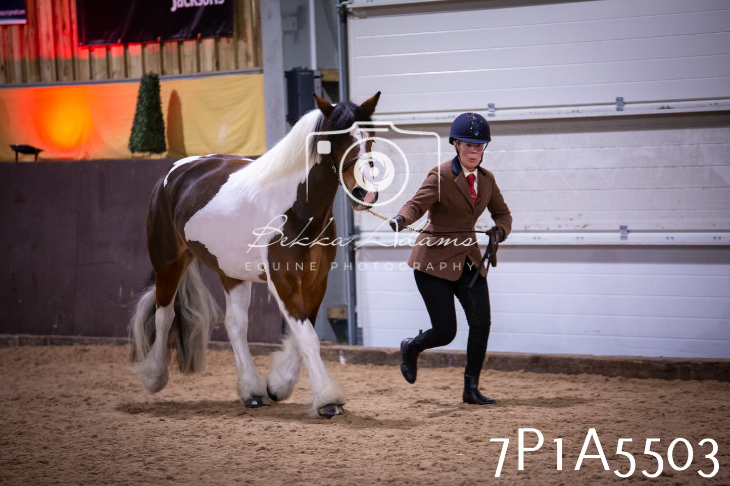 Home Farm Spring Show 2026 - In Hand