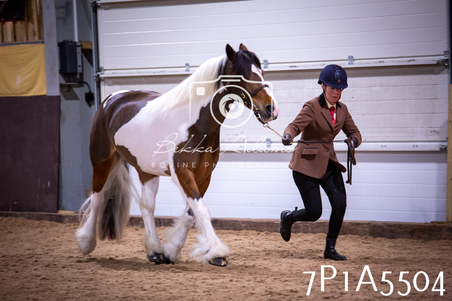Home Farm Spring Show 2026 - In Hand