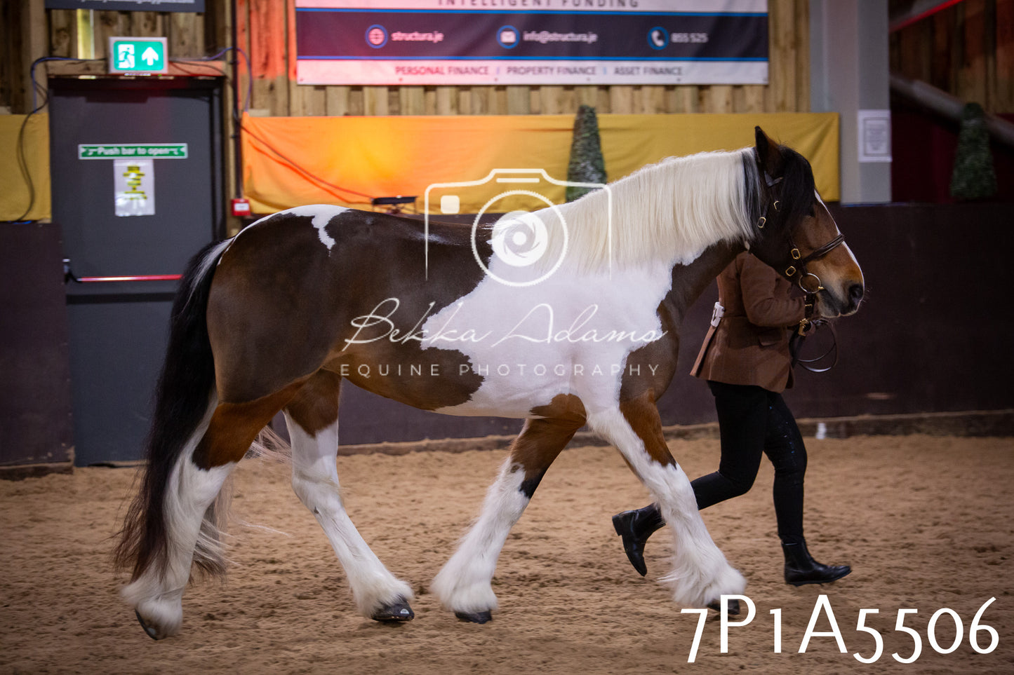 Home Farm Spring Show 2026 - In Hand