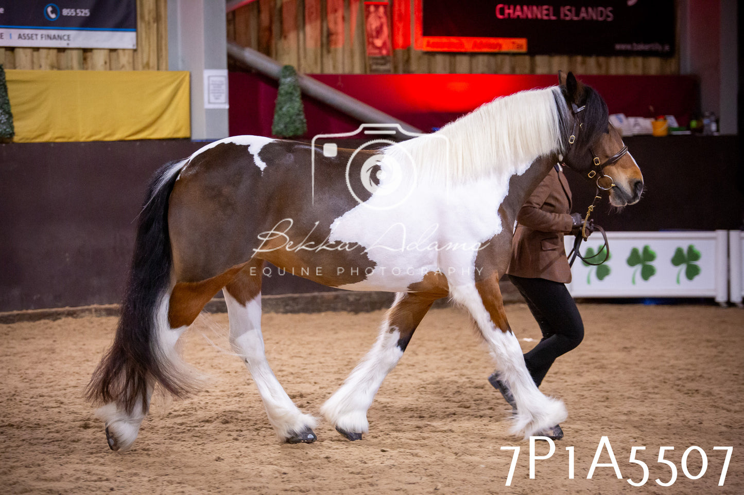 Home Farm Spring Show 2026 - In Hand