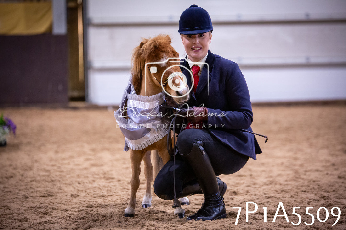 Home Farm Spring Show 2026 - In Hand