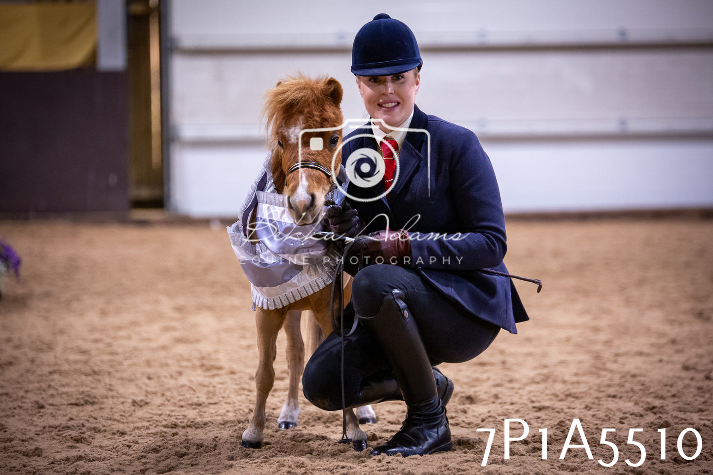 Home Farm Spring Show 2026 - In Hand