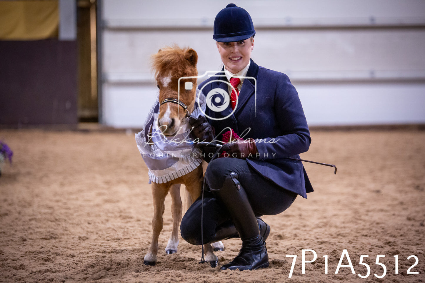 Home Farm Spring Show 2026 - In Hand