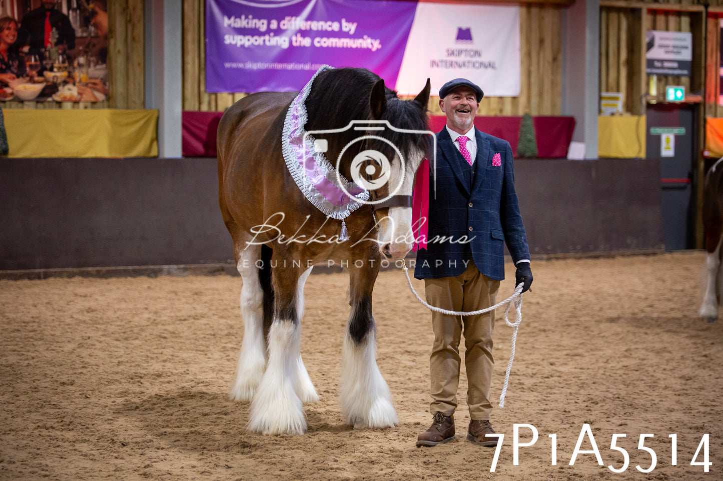 Home Farm Spring Show 2026 - In Hand