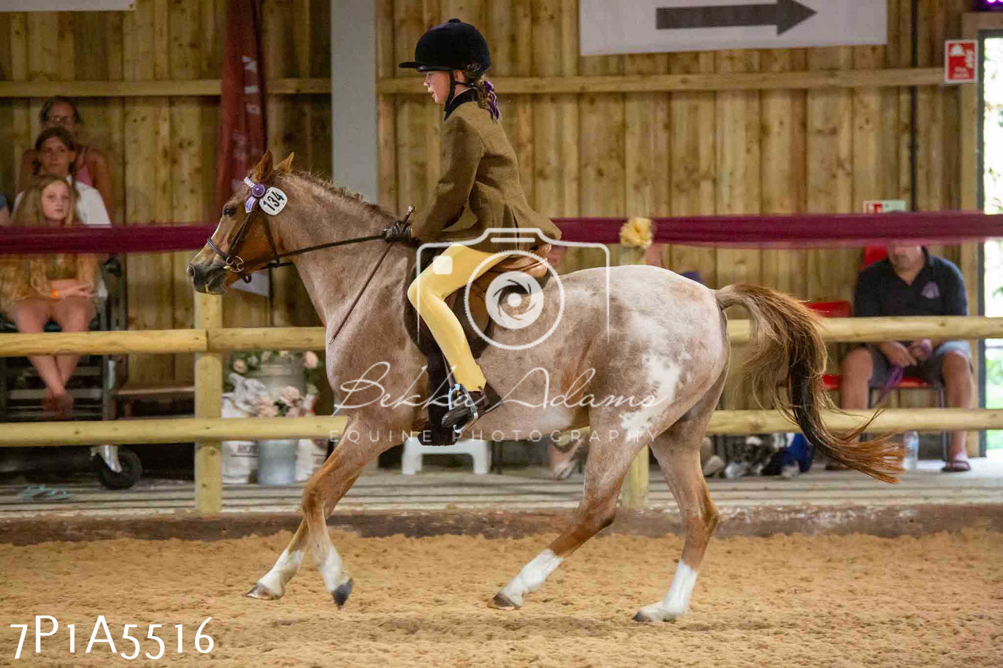 JHOYS 2023 - 10th September - Ridden Showing Pt2