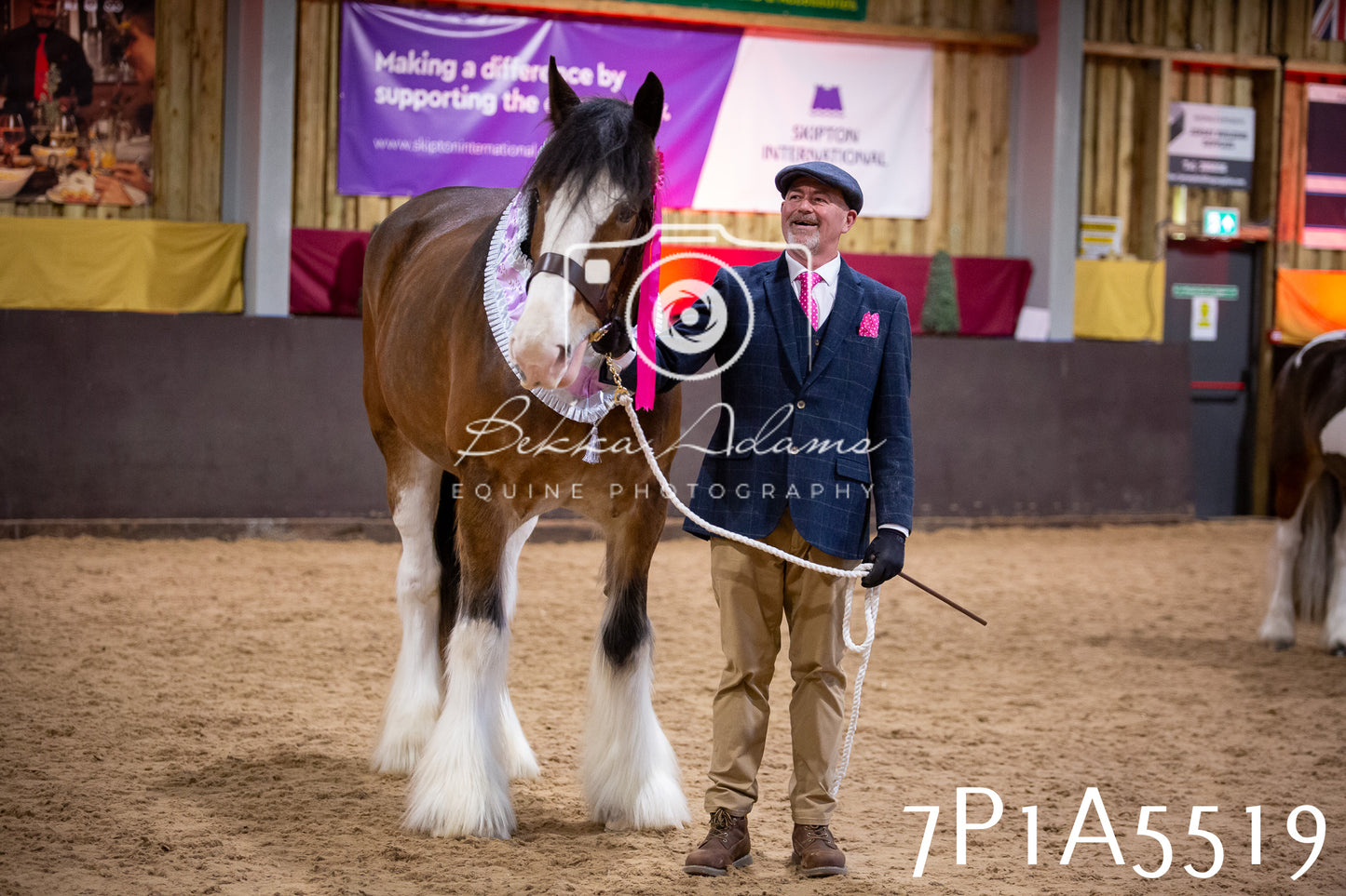 Home Farm Spring Show 2026 - In Hand