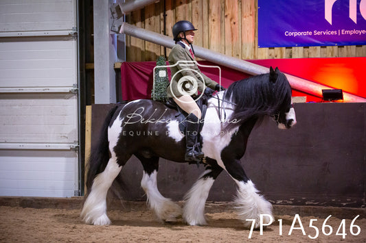 Home Farm Spring Show 2026 - Ridden pt1