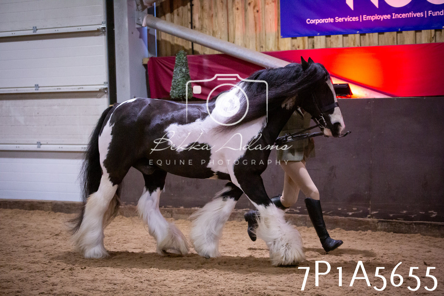 Home Farm Spring Show 2026 - Ridden pt1