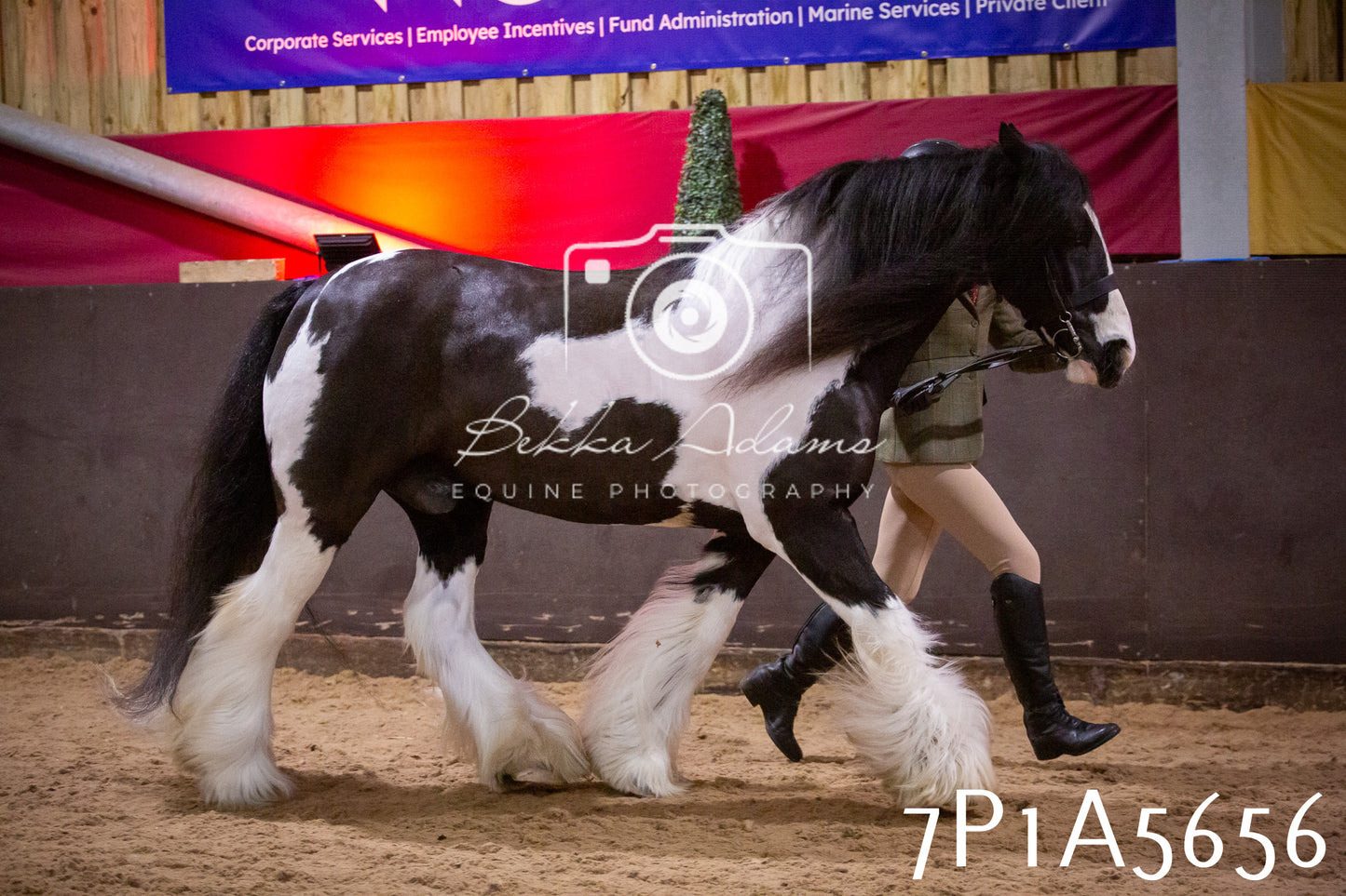 Home Farm Spring Show 2026 - Ridden pt1