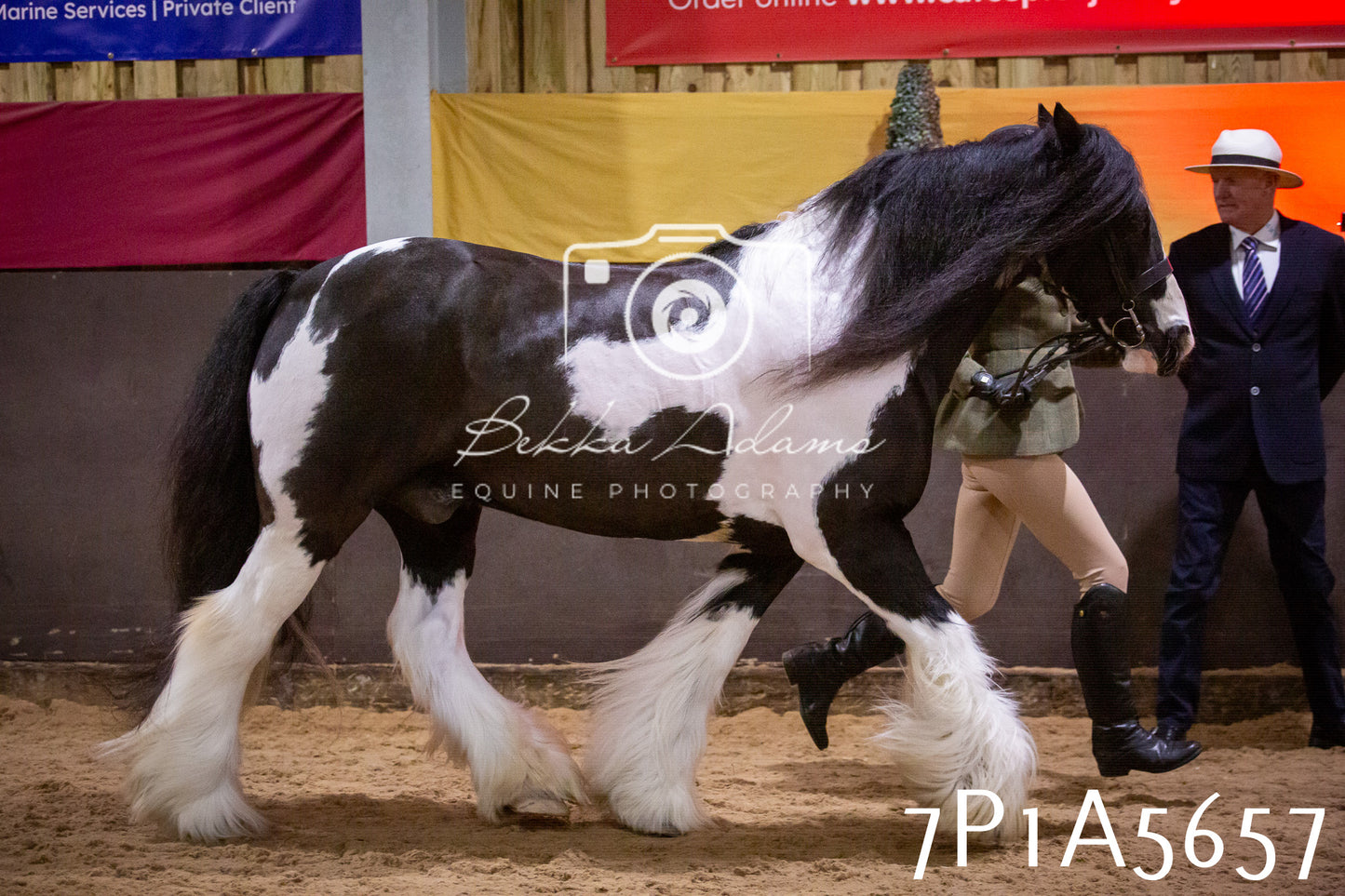 Home Farm Spring Show 2026 - Ridden pt1