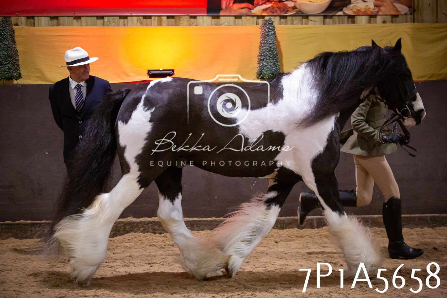Home Farm Spring Show 2026 - Ridden pt1