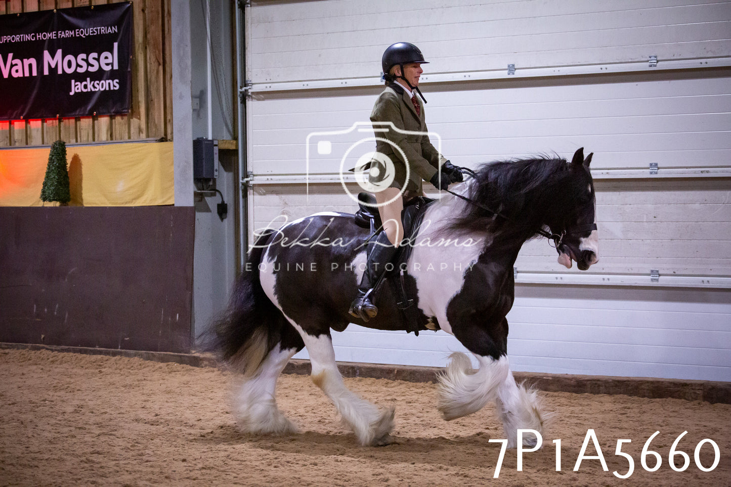 Home Farm Spring Show 2026 - Ridden pt1