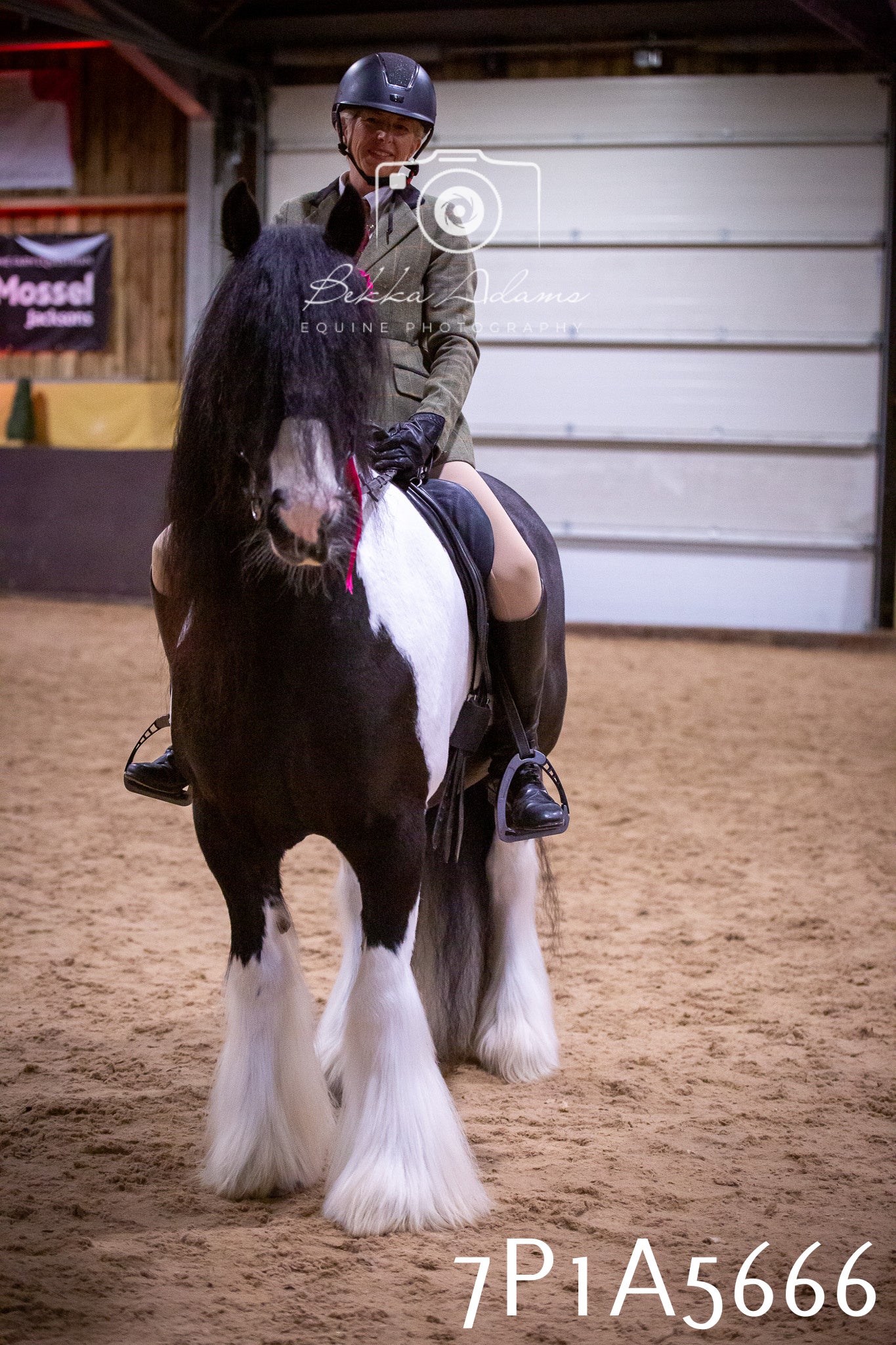 Home Farm Spring Show 2026 - Ridden pt1
